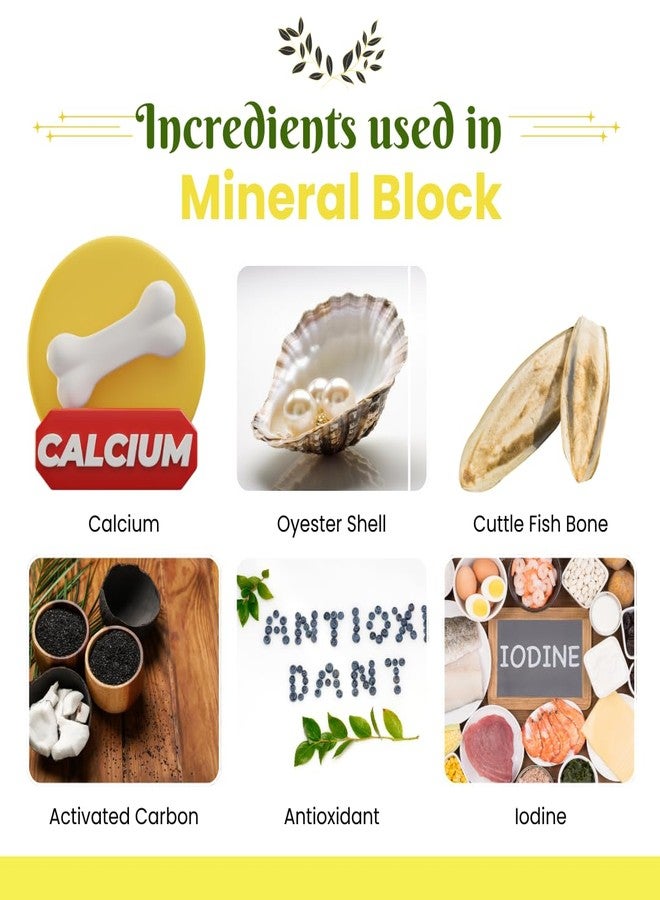 VAYINATO (Pack of 5) Pablo's Mineral Block - 100% Natural Calcium-Enriched Bird Supplement, 60g, No Added Colors or Preservatives, Made with Oyster Shells & Cuttlebone, Formulated in Austria (5) - Image 5